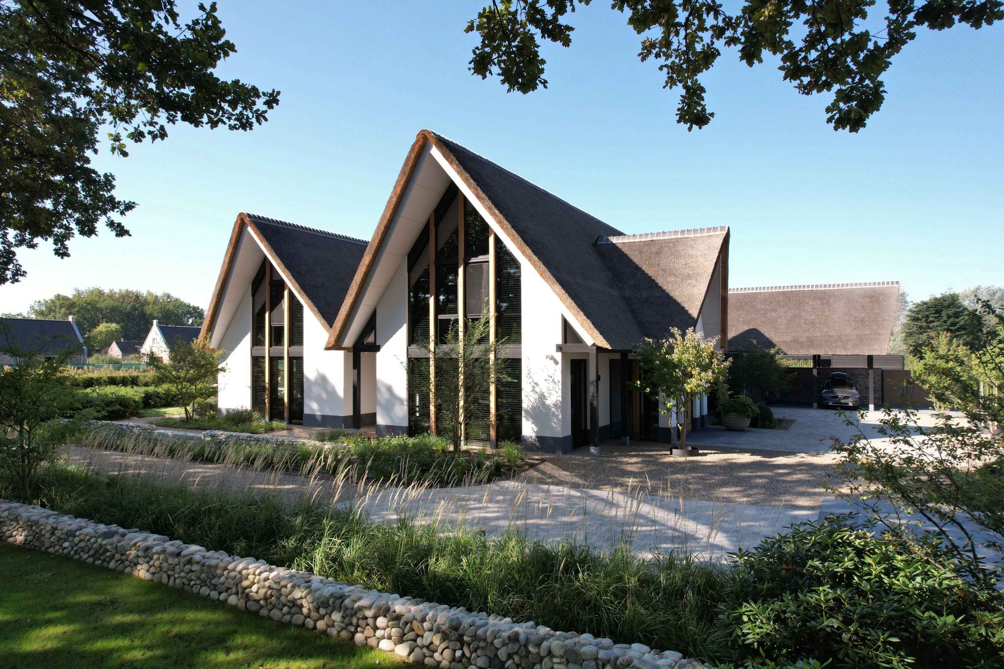 Exclusieve Paardenstoeterij Siebers Groep A Touch Of Gold
